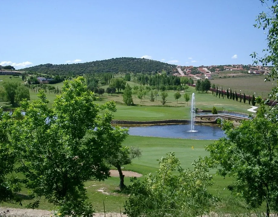 320947_371423002954207_1906835082_n_1